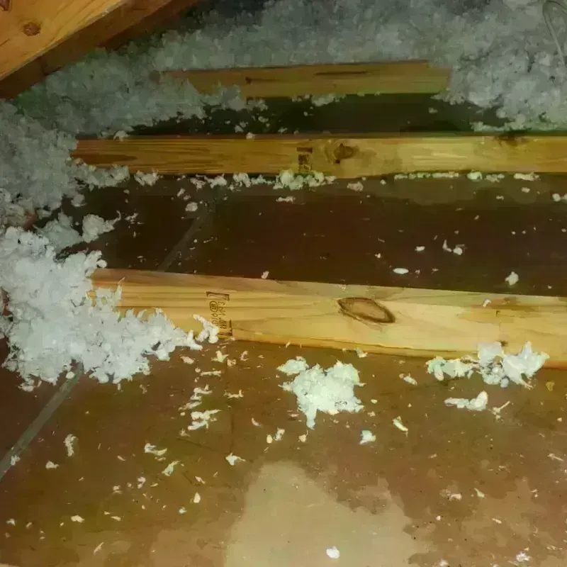 Attic Water Damage in Gladstone, MO