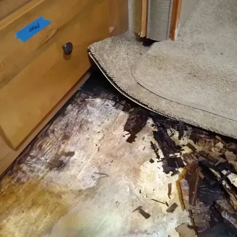 Wood Floor Water Damage in Gladstone, MO